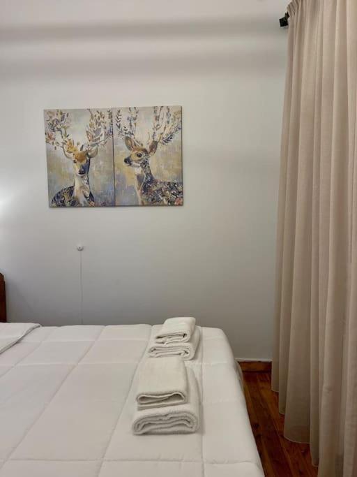 Maisonette Lucia Traditional House Prime Location Villa *